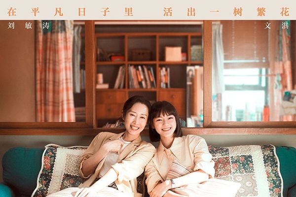 电视剧《生活家》主要讲了什么故事?演员刘敏涛刘心悠神仙组合?