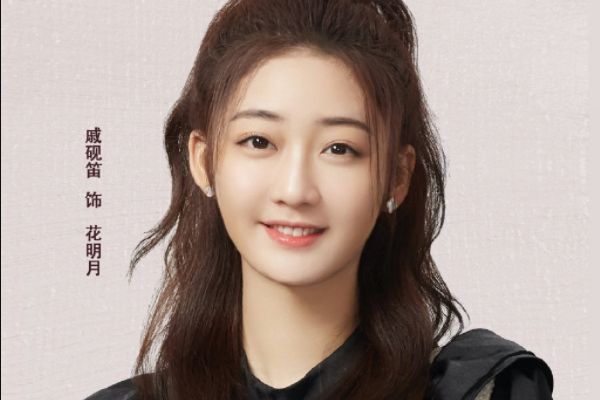 电视剧《站住!花小姐》什么时候播出?主要讲述了什么故事剧情?