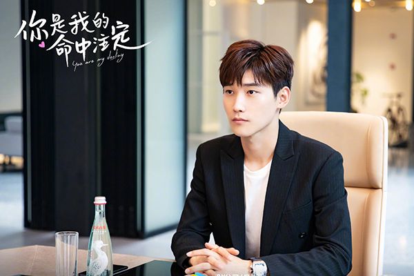 《你是我的命中注定》导演是谁?傅菁有参演这部剧吗?