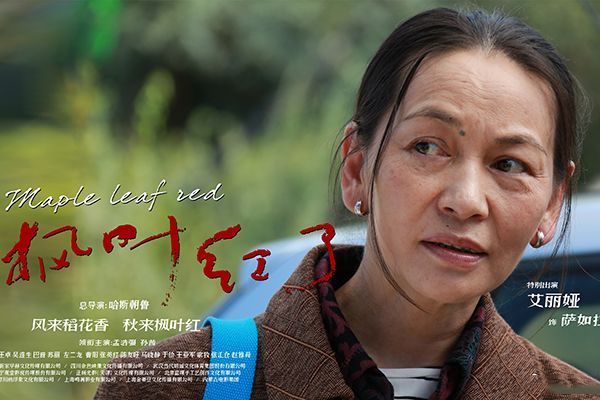 《枫叶红了》是一部什么题材的电视剧?该剧主要讲述了什么剧情?