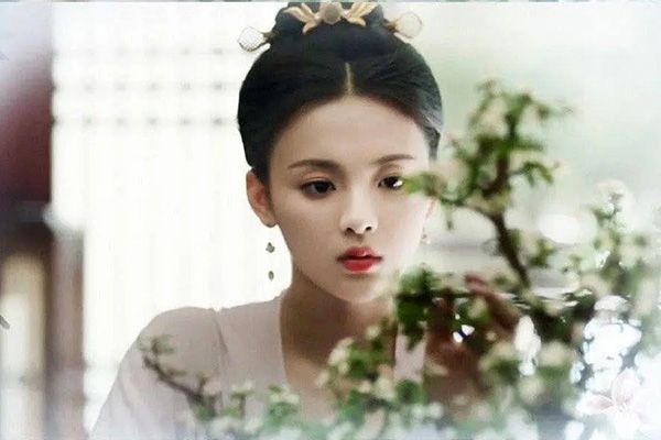 《长安诺》这部剧有杨超越的出演吗?她与舒畅相比怎么样?