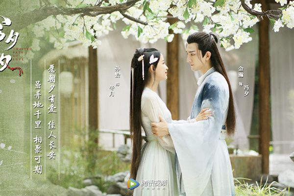 《今夕何夕》男主角冯夕身份有什么隐秘?冯夕的扮演者是谁?