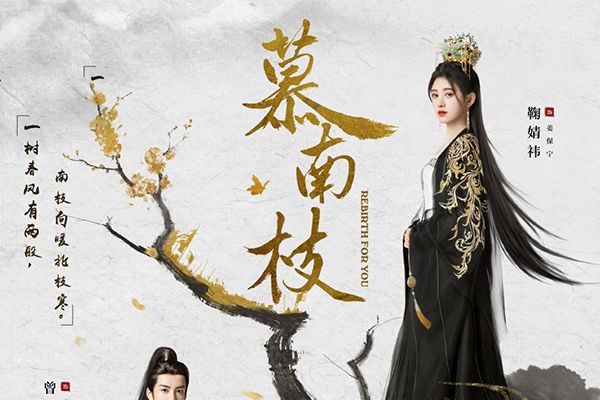 女频电视剧《慕南枝》讲述姜保宁励志一生?新形态宫闱言情剧情?