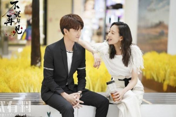 不说再见主要讲述的是什么?什么时候播出?
