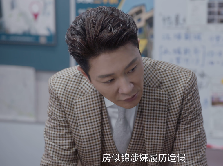 电视剧安家房似锦学历造假吗?房似锦什么时候辞职?