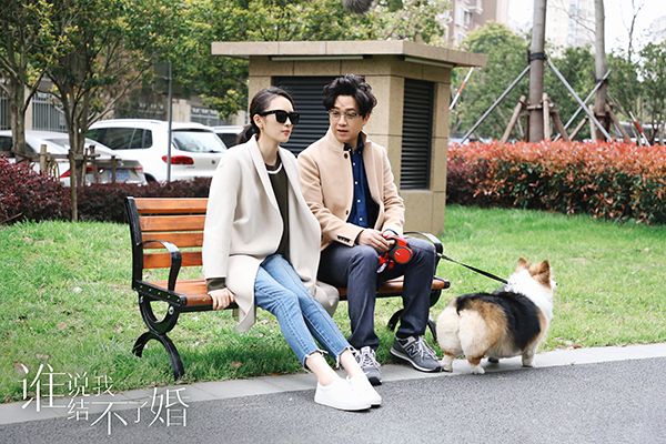 《谁说我结不了婚》为什么这么火?从中感悟到什么?
