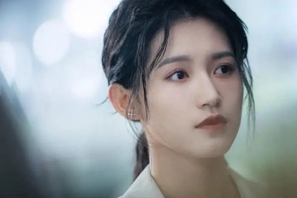 电视剧《刺》是改编自小说吗?该剧大概讲述的什么故事?