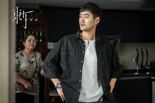 电视剧《刺》是改编自小说吗?该剧大概讲述的什么故事?
