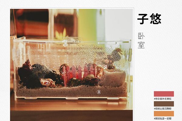 《小舍得》题材角色定位真实?演员宋佳李佳航佟大为是本色出演?
