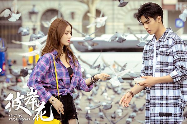《彼岸花》林允为什么不受欢迎?该剧讲述了什么?