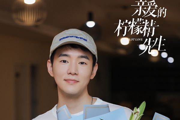 《亲爱的柠檬精先生》南北夫妇指的是什么?两人的对手戏精彩吗?