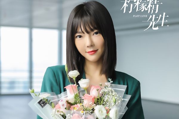 《亲爱的柠檬精先生》南北夫妇指的是什么?两人的对手戏精彩吗?