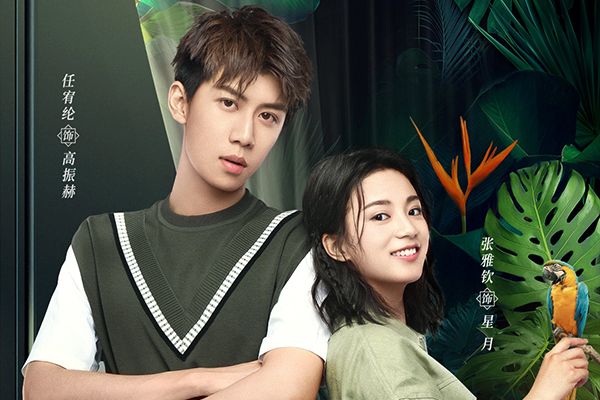 《酋长的男人》女酋长爱上腹黑男?丛林风格让你清爽一夏?