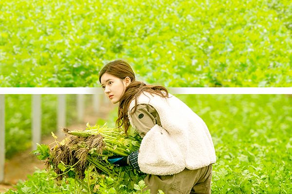 《我喜欢你》林雨申扮演男主路晋?赵露思和林雨申为何受人喜爱?