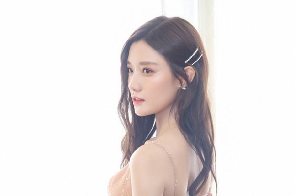 电视剧《我是岁月你是星辰》剧情简介?金小鱼蒋白驹结局怎么样?