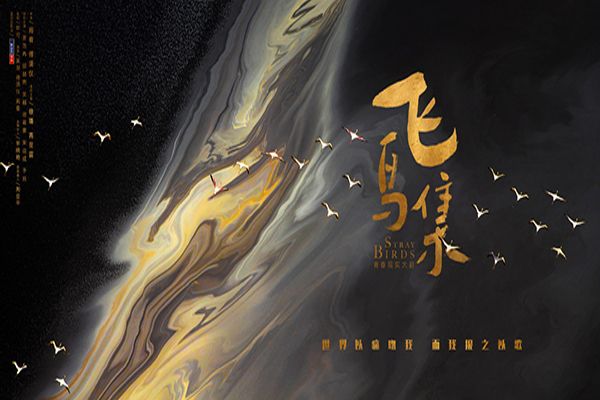 《飞鸟集》这部剧主要讲述的是什么?这部剧有什么精彩的看点吗?