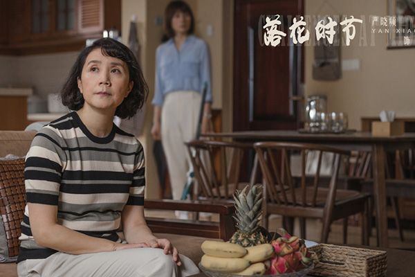 《落花时节》主要讲述了什么故事?这部电视剧有什么精彩看点?