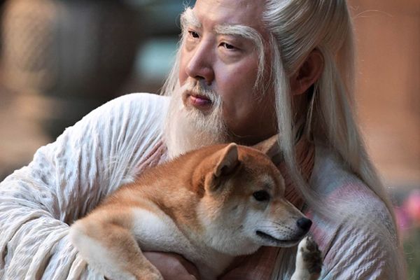 《天舞纪》剧情都讲述了什么?这部剧值得二刷吗?