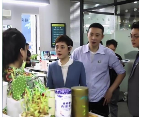 电视剧安家谢亭丰几个老婆?谢亭丰老婆到底是谁