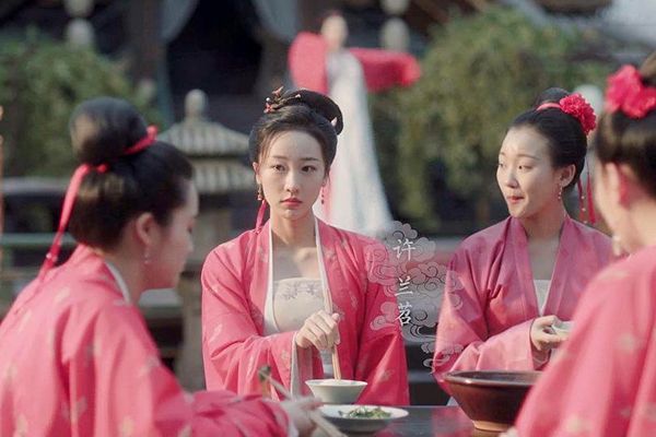 《清平乐》许兰苕是怎么上位成为赵祯嫔妃的?她是好人是坏人?