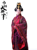 巾帼大将军独孤后