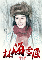 八方传奇鞠梅英