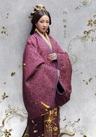 三国机密之潜龙在渊何皇后