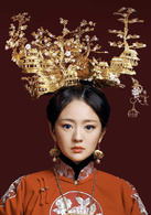 是！尚先生应蝶