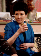 何以笙箫默夏母