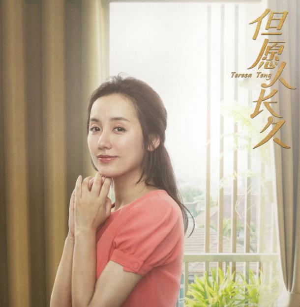 但愿人长久段宁