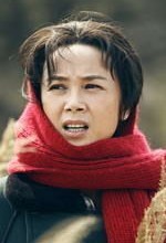 娘要嫁人齐之芳